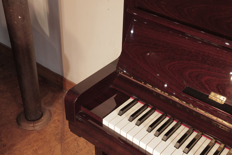 Steinway piano cheek