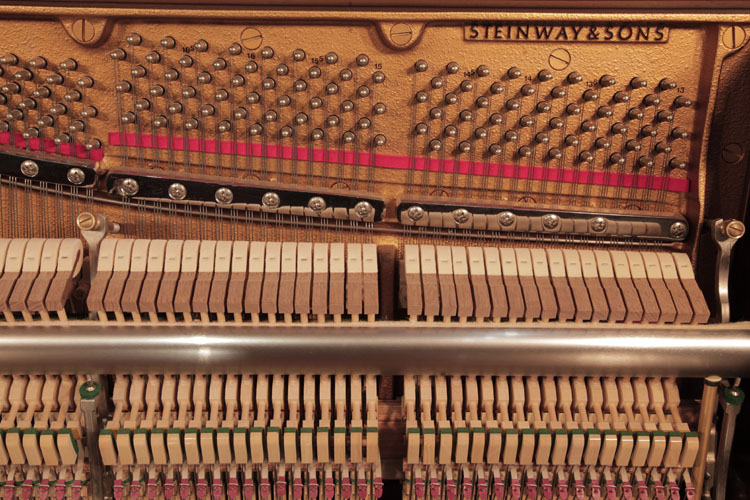 Steinway Manufacturer's  name on frame